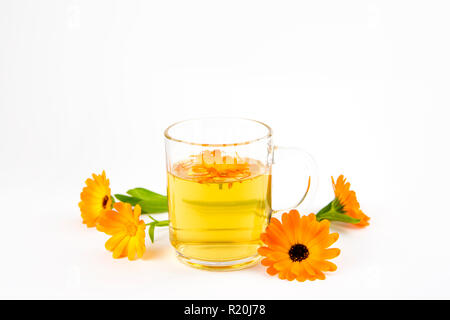 Calendula officinalis Pot marigold, ruddles, gemeinsame Ringelblume oder Scotch Ringelblume, pflanze Blume Teetasse in Klarglas, medizinische Heilmittel Konzept. Isol Stockfoto