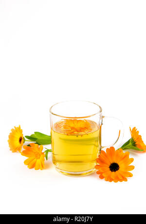 Calendula officinalis Pot marigold, ruddles, gemeinsame Ringelblume oder Scotch Ringelblume, pflanze Blume Teetasse in Klarglas, medizinische Heilmittel Konzept. Isol Stockfoto