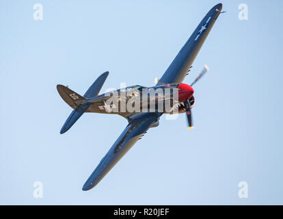 MONROE, NC (USA) - 10. November 2018: eine P-40 Warhawk Kampfflugzeuge im Flug während der warbirds über Monroe Air Show. Stockfoto