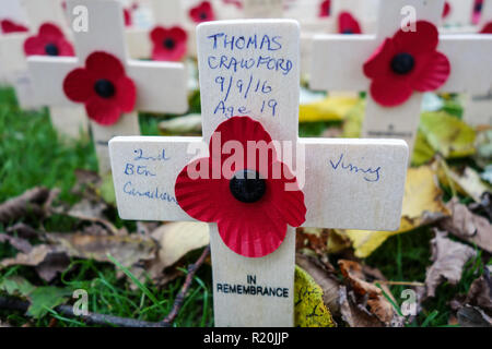 Mohnblumen auf hölzerne Kreuze am Kriegerdenkmal Garten auf die Princes Street Gardens und Edinburgh Stockfoto