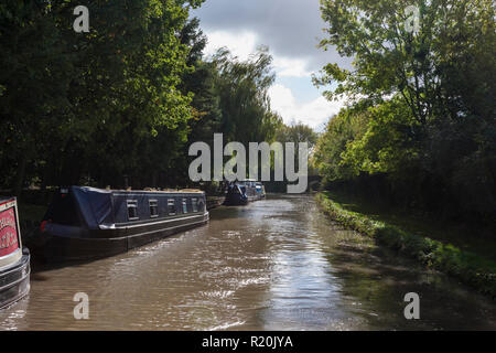 Narrowboats günstig über Wykin Brücke Nr. 21 im Basin Bridge Wharf, Ashby Canal, Leicestershire, England, Großbritannien Stockfoto