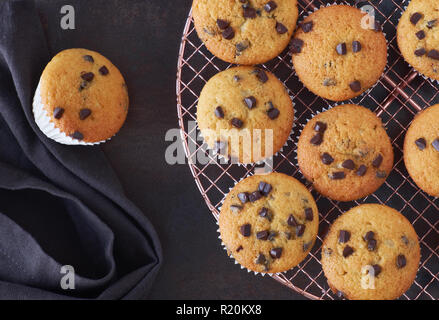 Zwölf frisch gebackene choco Chip muffins Abkühlen auf Drahtgeflecht auf dunklem Hintergrund mit Bettwäsche Handtuch, Flachbild Layout Stockfoto