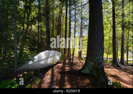 Kanu gespeichert, im Wald, in der Nähe von einem See in den Adirondacks Region, Staat New York, USA. Stockfoto