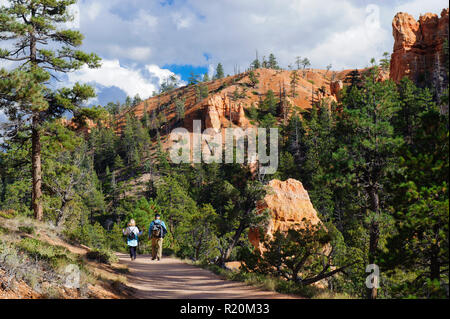 Paar wandern unter Kiefern auf der Navajo Loop Trail, Bryce Canyon National Park, Utah, USA. Stockfoto