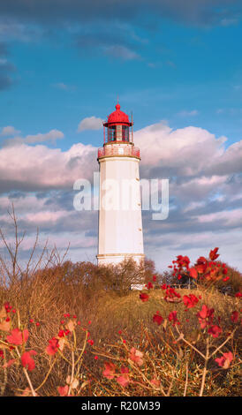 Weißen Leuchtturm Dornbusch auf der Insel Hiddensee in Mecklenburg-Vorpommern, Norddeutschland, an einem strahlenden Herbsttag Stockfoto