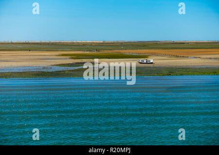 Ria Formosa, Portugal - Mussel Banken in der Nähe von Faro, über 200 Jahre in der ehemaligen Erdbeben im Atlantik gebildet Stockfoto