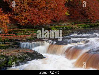Aysgarth fällt in der Yokshire Dales im Herbst, England Stockfoto