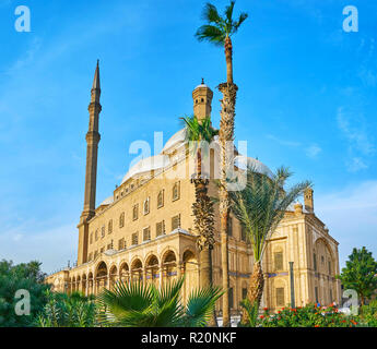 Die osmanischen architektonischen Ensemble aus Alabaster Moschee durch den hohen Palmen und saftigen Grün des Gartens der Zitadelle von Saladin, Kairo, Egyp styled Stockfoto