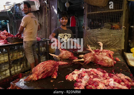 In einem Schlachthof in Null Bazar, Mumbai, Indien, die Tiere getötet und in einer zufälligen, grausame und unhygienischen Weise verarbeitet Stockfoto