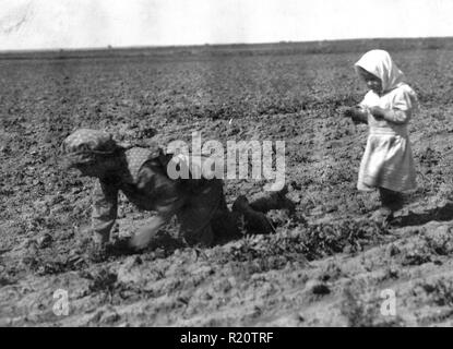 Foto von einem 11-jährigen Elizabeth arbeiten innerhalb der Zuckerrüben in der Nähe von Ordway, Colorado. Fotografiert von Lewis Wickes Hine (1874-1940), ein amerikanischer Soziologe und Fotograf, seine Fotografien wurden in der Reform der Gesetze gegen Kinderarbeit in den Vereinigten Staaten beteiligt. Vom 1915 Stockfoto