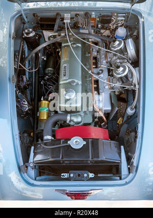 1964 Austin Healey BJ8-Motor Stockfoto