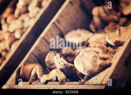 Detailansicht auf Shiitake Pilze im Container in Essen shop Stockfoto