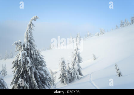 Hintergrund Mit der winterlichen Natur. Fichten im Schnee auf dem Hügel. Landschaft mit einem Haze Stockfoto