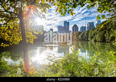 Atlanta Skyline von Piedmont Park Stockfoto