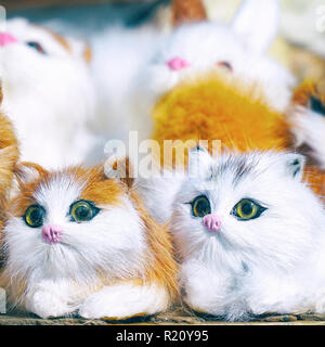 Weiches Spielzeug Kätzchen vor der Kamera sitzen Stockfoto