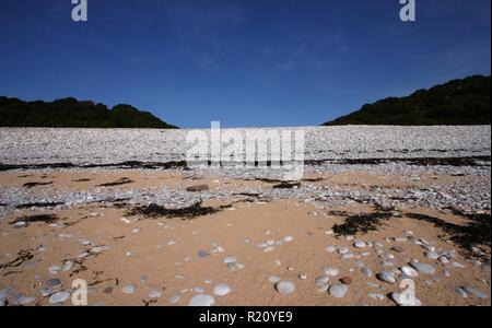 Gower Halbinsel, Wales, Großbritannien Stockfoto