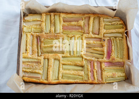 Rhabarber-Kuchen Stockfoto