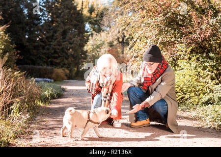 Schönes älteres Ehepaar zieht den Hund begeistert Stockfoto