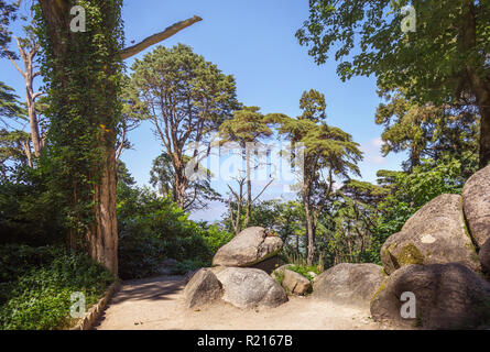 Pena Park in Sintra. Portugal Stockfoto