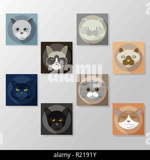 Katzen flachbild Symbole, Satz, Illustration vektor Zeichen. cartoon kawaii Katzen Gesichter in checkrwise Stock Vektor