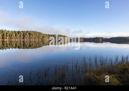 Loch Garten im Cairngorms National Park von Schottland. Stockfoto