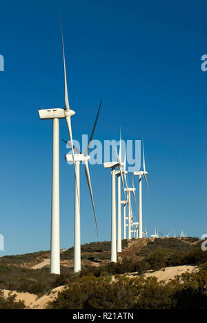 Windkraftanlagen in Tecate Tecate Teilen vom Gipfel auf der Interstate 8 freeway California gesehen, USA Stockfoto