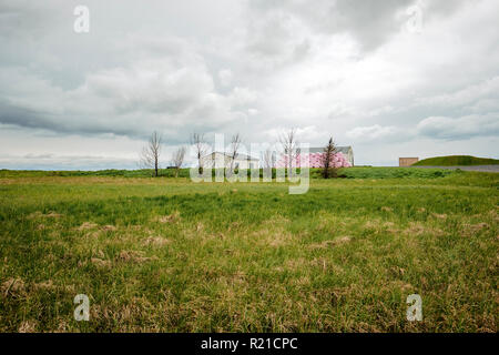 Rosa Plastik eingewickelt Heuballen und landwirtschaftlichen Gebäuden in der isländischen Landschaft. Stockfoto