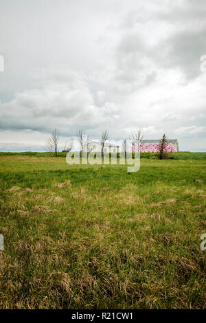 Rosa Plastik eingewickelt Heuballen und landwirtschaftlichen Gebäuden in der isländischen Landschaft. Stockfoto