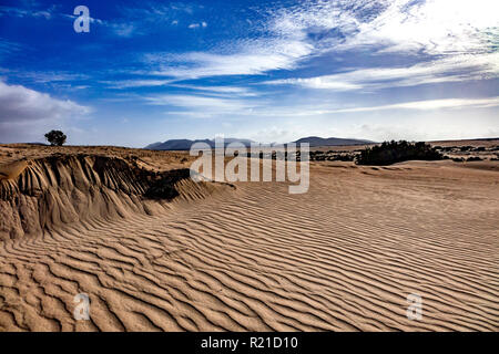 Niedrige Sonne am späten Nachmittag, mit Sand Muster und Texturen im natürlichen Park, Corralejo, Fuerteventura, Kanarische Inseln, Spanien. Stockfoto