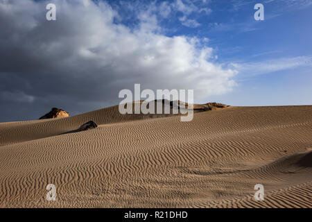 Niedrige Sonne am späten Nachmittag, mit Sand Muster und Texturen im natürlichen Park, Corralejo, Fuerteventura, Kanarische Inseln, Spanien. Stockfoto