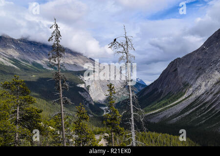 Starke Bilder von den Ausläufern der Berge in Alberta Stockfoto