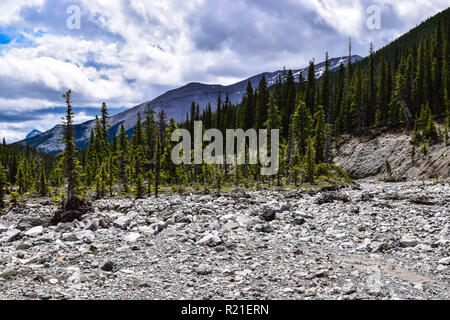 Starke Bilder von den Ausläufern der Berge in Alberta Stockfoto