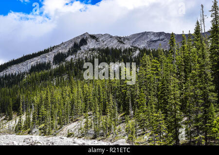 Starke Bilder von den Ausläufern der Berge in Alberta Stockfoto