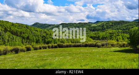 Starke Bilder von den Ausläufern der Berge in Alberta Stockfoto