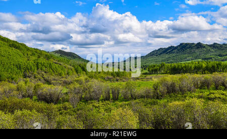 Starke Bilder von den Ausläufern der Berge in Alberta Stockfoto