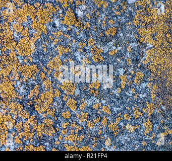 Natürliche grunge Textur Stockfoto