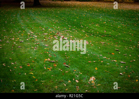 Ein frisch gemähten Rasen mit ein paar bunte Blätter im Herbst Stockfoto