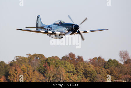 MONROE, NC (USA) - 10. November 2018: eine P-51 Mustang Flugzeug fliegt tief über die Bäume während der warbirds über Monroe Air Show. Stockfoto