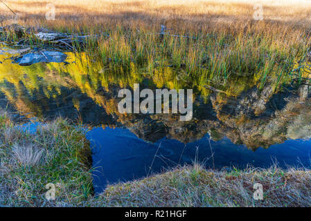 Alpe Devero herbst Berglandschaft Stockfoto