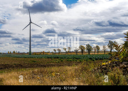 Windenergieanlage in Quebec landwirtschaftliche Fläche im späten Herbst Stockfoto