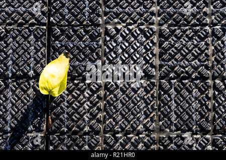 First Solar Radweg in Deutschland, in Erftstadt, einem 90 Meter langen Teststrecke mit Solarmodulen, die auf dem Boden, dass Strom erzeugen Stockfoto