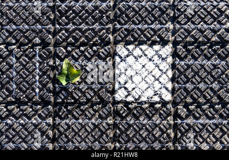 First Solar Radweg in Deutschland, in Erftstadt, einem 90 Meter langen Teststrecke mit Solarmodulen, die auf dem Boden, dass Strom erzeugen Stockfoto