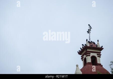 Gruppe von Tauben stand auf dem Turm der alten Kirche, die tauben Ruhen aus langer Flug, Platz für Text, schöne Hintergrund des wilden Lebens Stockfoto