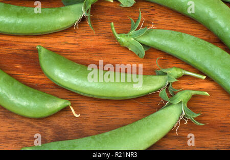 GEERNTETE ZUCKERERBSEN (PISUM) AUF HOLZBRETT. Stockfoto