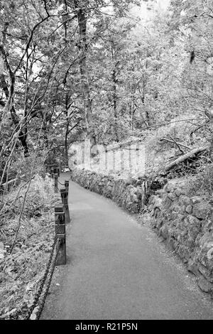 Schwarz-weiß Foto von Trail in Multnomah Fälle, Oregon Stockfoto