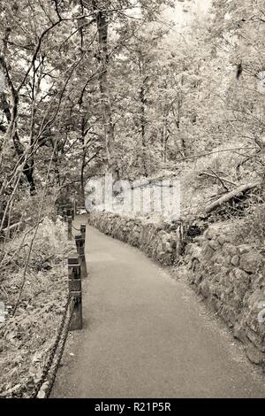Getönte schwarz-weiß Foto von Trail in Multnomah Fälle, Oregon Stockfoto