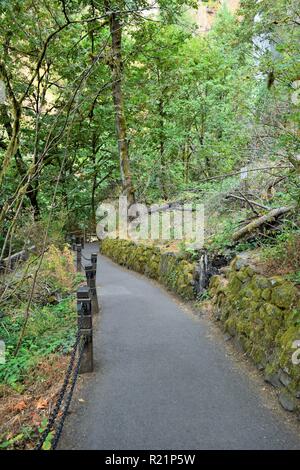 Der Trail in Multnomah Fälle, Oregon Stockfoto