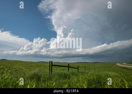 Ein klassisches Beispiel einer superzelle Gewitter mit flankierenden Linie, Main Tower, Zufluss band und Amboss. Dieser Sturm gebildet, um die Black Hills. Stockfoto