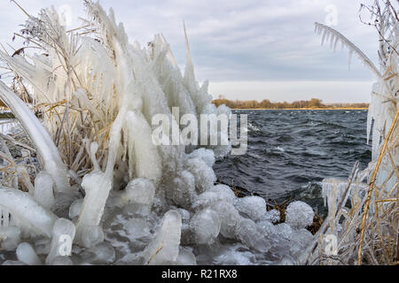 Eisige Ufer auf der Luv Seite der See. Hat das Wasser gefroren und verursacht seltsames Eis Formen und Skulpturen auf dem Schilf. Stockfoto