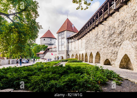 Der dänische König's Garden und Maiden Tower, Tallinn, Harjumaa, Estland, Baltikum, Europa. Stockfoto